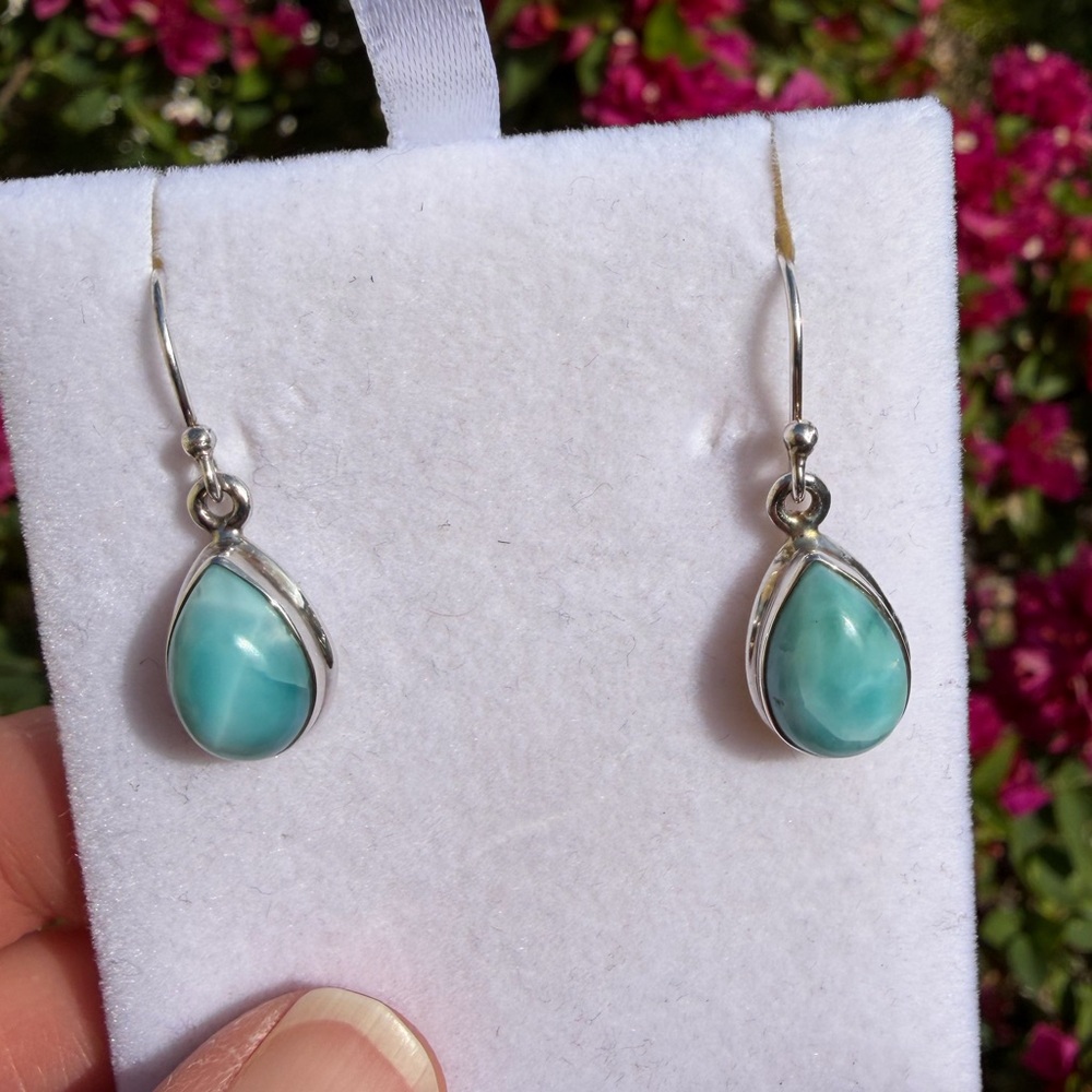 Larimar Fish Hook Earrings - Picture 5 of 6